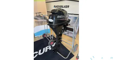 Moteur Mercury 8 cv