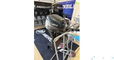 Moteur Mercury 8 cv