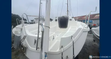 Sasanka Viva 600