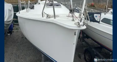 Sasanka Viva 600