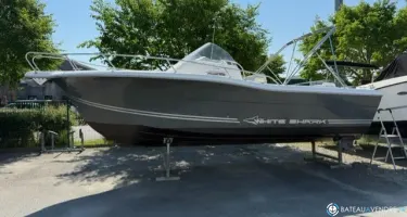 White Shark  248