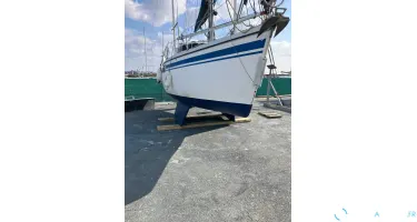 Wrighton Biloup 77 Nv