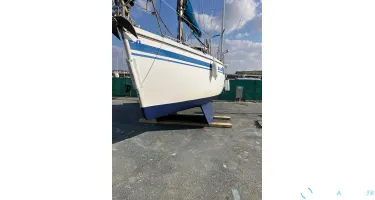 Wrighton Biloup 77 Nv