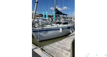 Wrighton Biloup 77 Nv