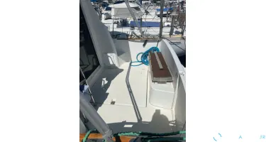 Lagoon  46