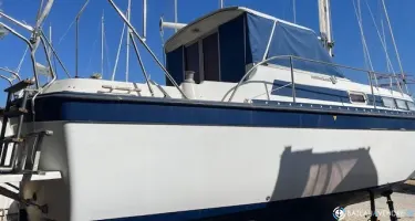 Amerglass Searunner 30
