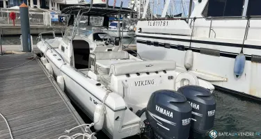 White Shark  248