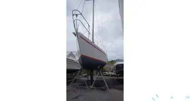 Nicholson  33