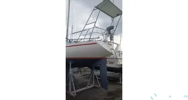 Nicholson  33