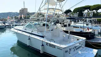 Bertram  36 Moppie