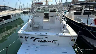 Bertram  36 Moppie
