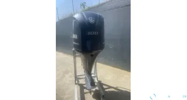 F 300 DETX de 2024