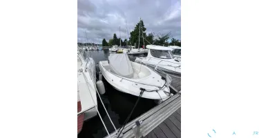 Pacific Craft  545 Trendy