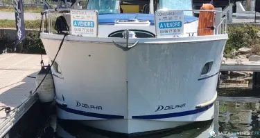 Delphia  1050 Escape