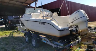 Sessa Marine Oyster 18