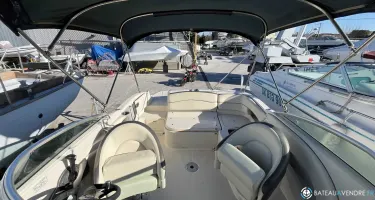 Sea Ray  220