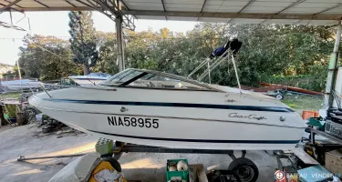 Chris Craft  210 CC