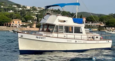 Grand Banks  36