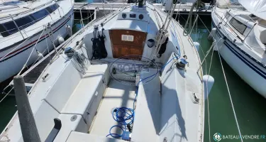 Mallard  9M