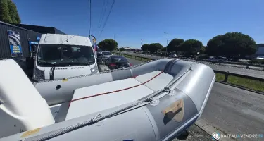 Zodiac Cherokee