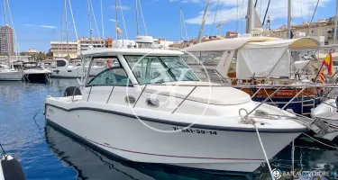 Boston Whaler  315 Conquest