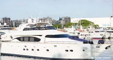 Maiora  24