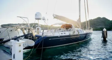 Oyster  80