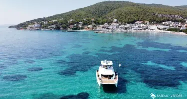 Robertson And Caine Leopard 43