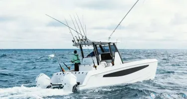 Aquila  28 Molokai