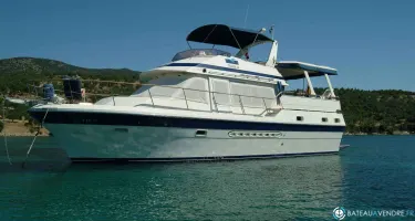 Trader  44