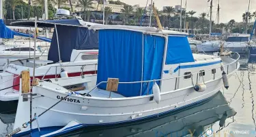 Copino  44