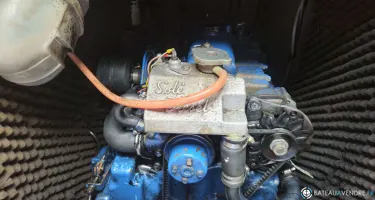 Furia  33