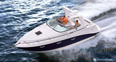 Rinker  260