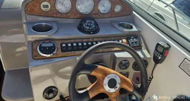 Rinker  260