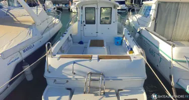Arvor  20