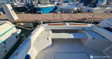 Arvor  20