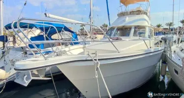 Rodman  1120