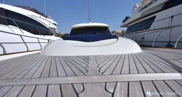 Mochi Dolphin 54