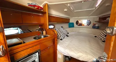 Bavaria Sport 29