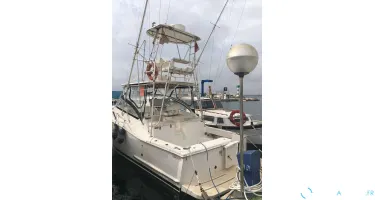 Luhrs  30 Open