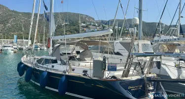Oyster  56