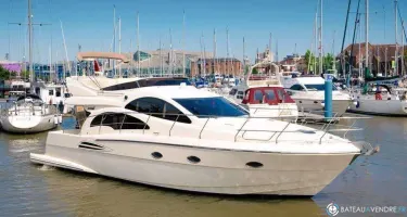 Astondoa  43