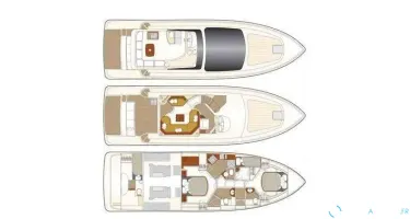 Astondoa  55