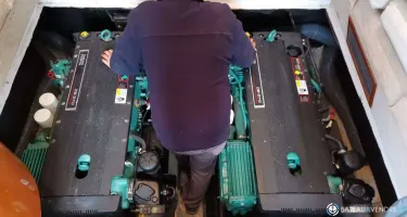 Astondoa  394