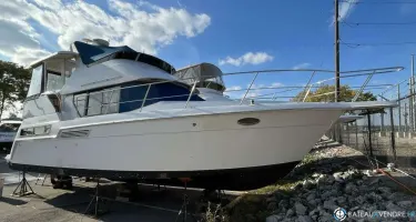 Carver  43