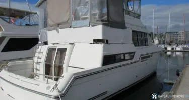 Carver  43