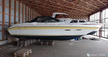 Sea Ray  260