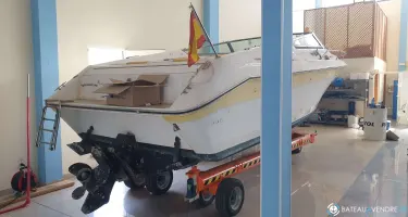 Sea Ray  260