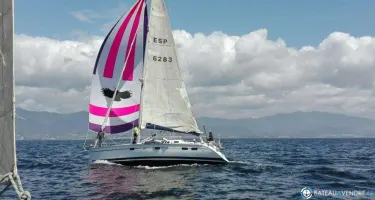 Hunter  40.5 Legend