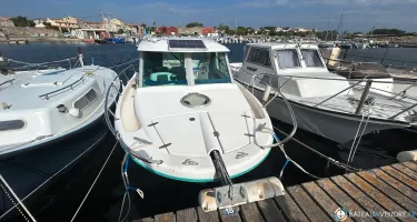 Ocqueteau  695